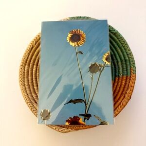 🌻🩵 4x6 Sunflower Print on Blue Sky Background
